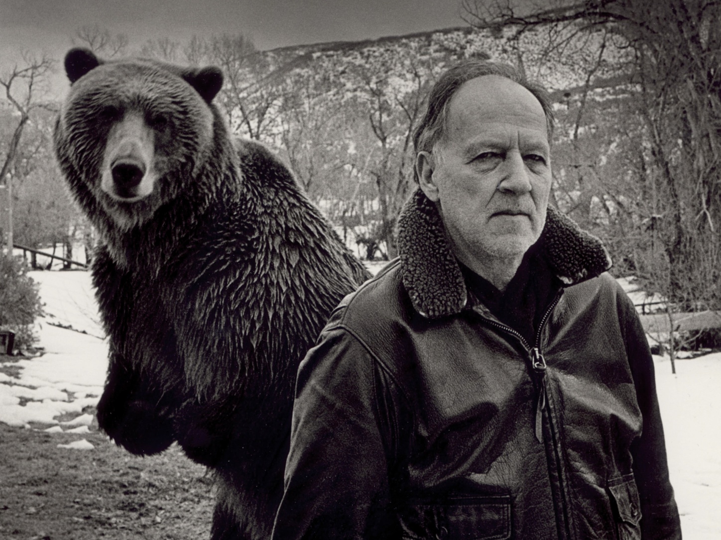 grizzly-man-2005-003-werner-herzog-bear-posebfi-00n-h4x-1000x750